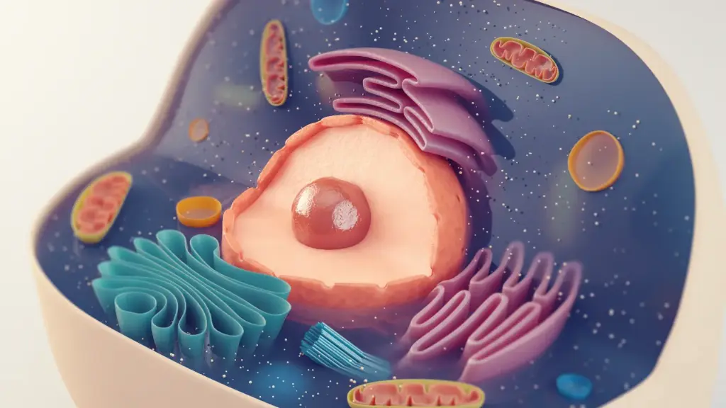  Nicarbazin (NBZ) Rapid Test kit for chicken feed samples - 10 tests/kit