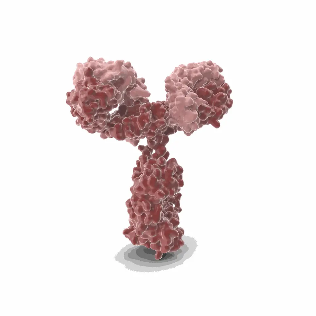 [GEN-ANTI-04] Gentaur Pab2627 Polyclonal Antibody