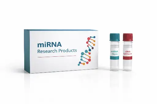 [PO-0019] MiRNA Real-Time PCR Assay Kit with miR-20a