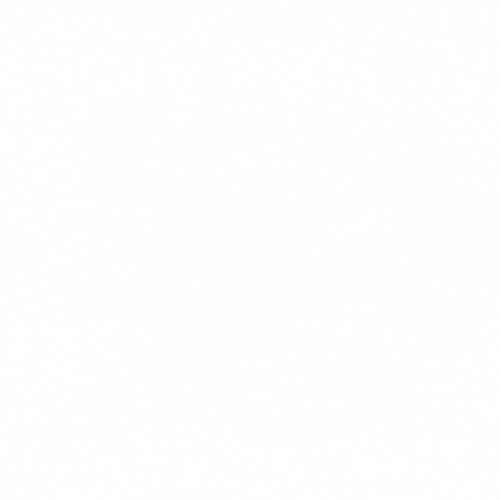 Snowformatics
